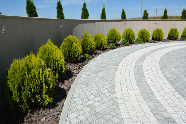 Best Best Driveway Pavers  in Basile, LA